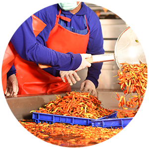 Saus Tomat Surabaya